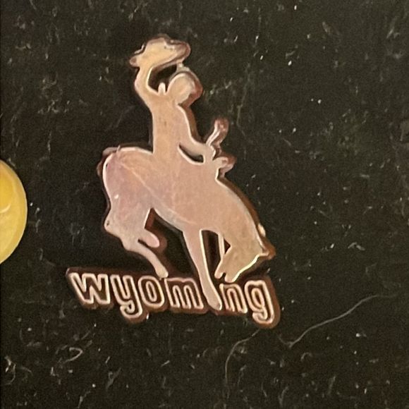 Vintage 1” x 0.75” “Wyoming ASI 65485” hat/lapel pin or tie tack - Picture 4 of 10